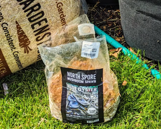 North Spore mushroom spawn kit for home gardeners.