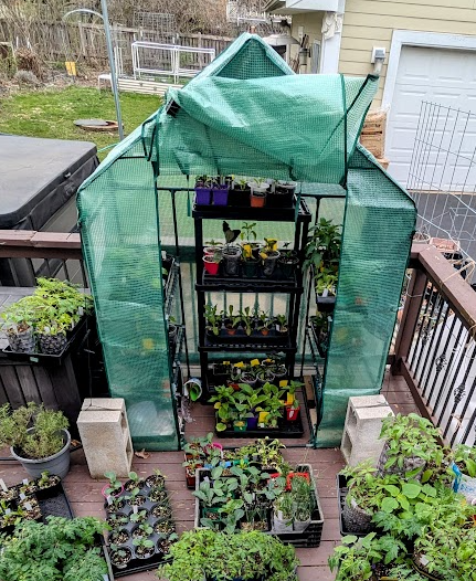 VIVOSUN mini walk-in greenhouse for seed starting.
