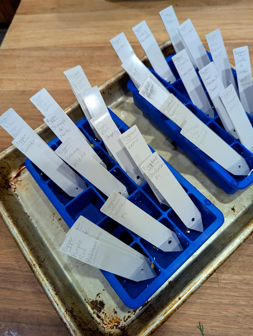 Potassium Nitrate for seed germination.