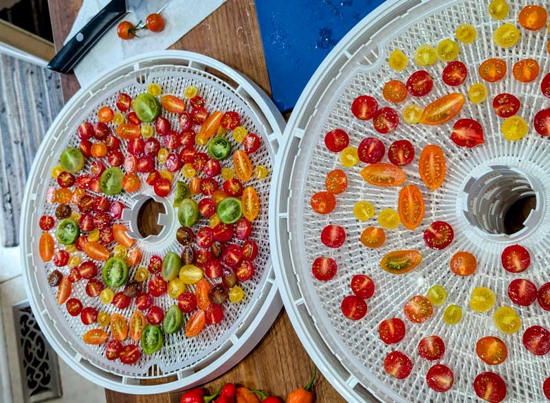 NESCO Gardenmaster Pro Food Dehydrator with multiple trays.