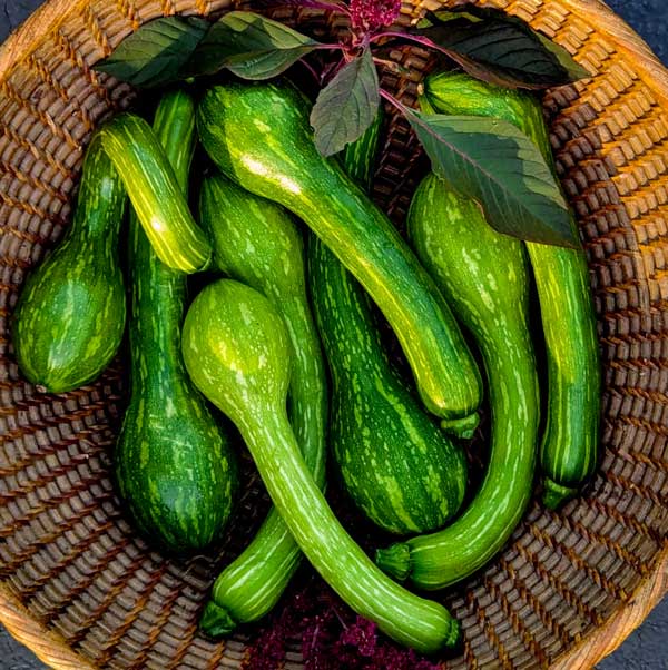 A long, light green Centercut squash.