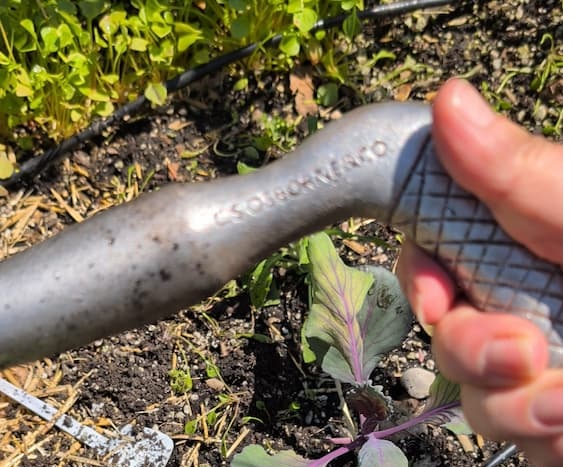 My Recommended Gardening Tools | Jen Caputo's Garden